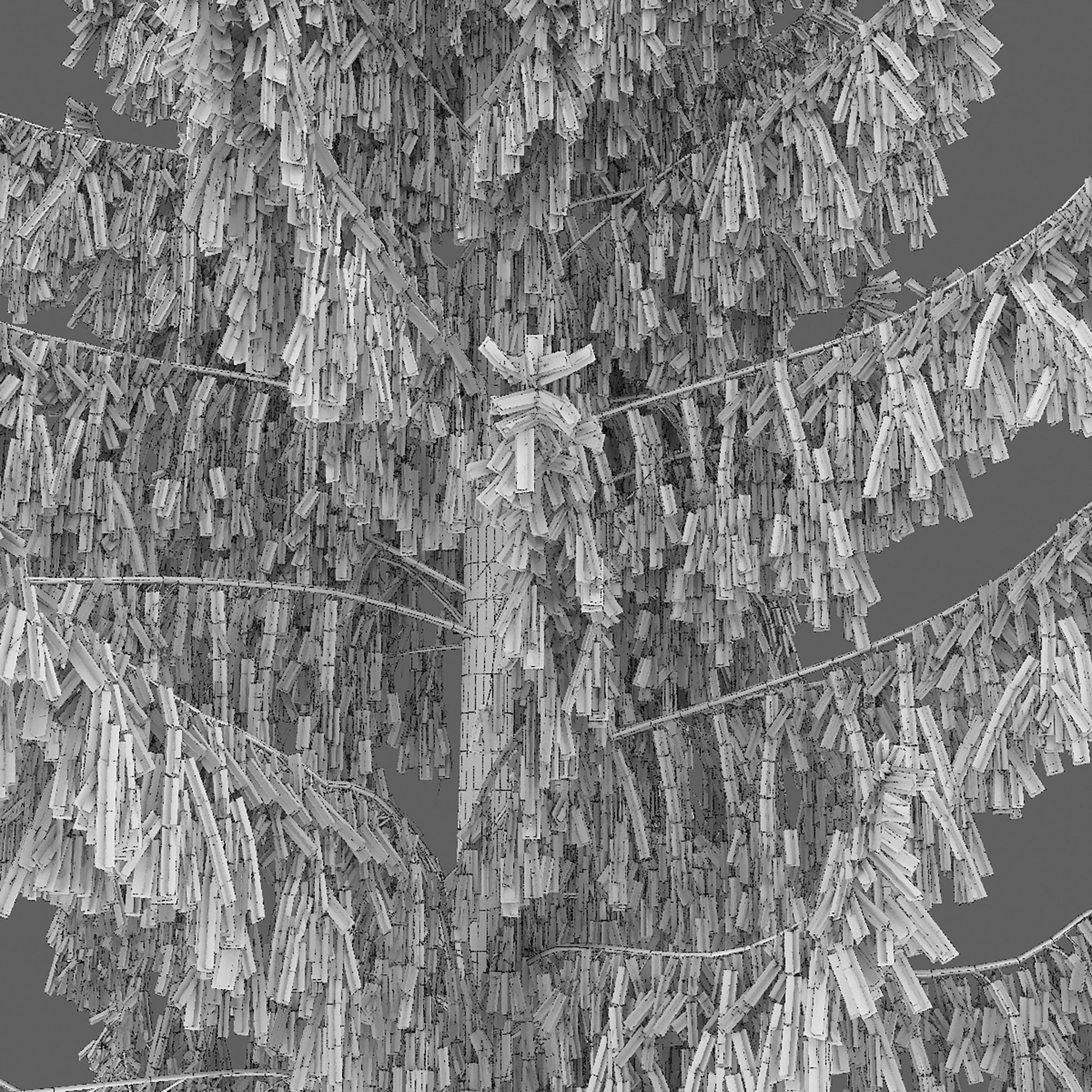 Spruce 06 3D model_5