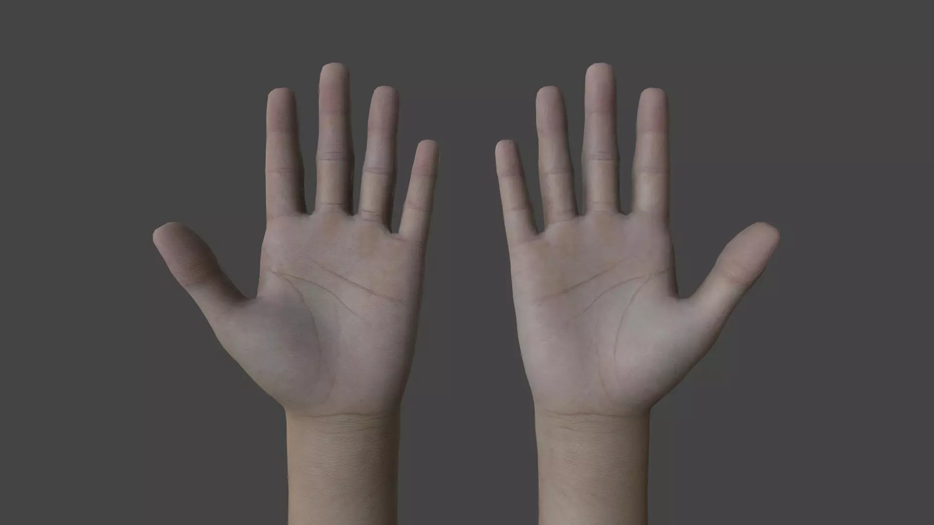 HAND-037 Rigged Hands Low-poly 3D model