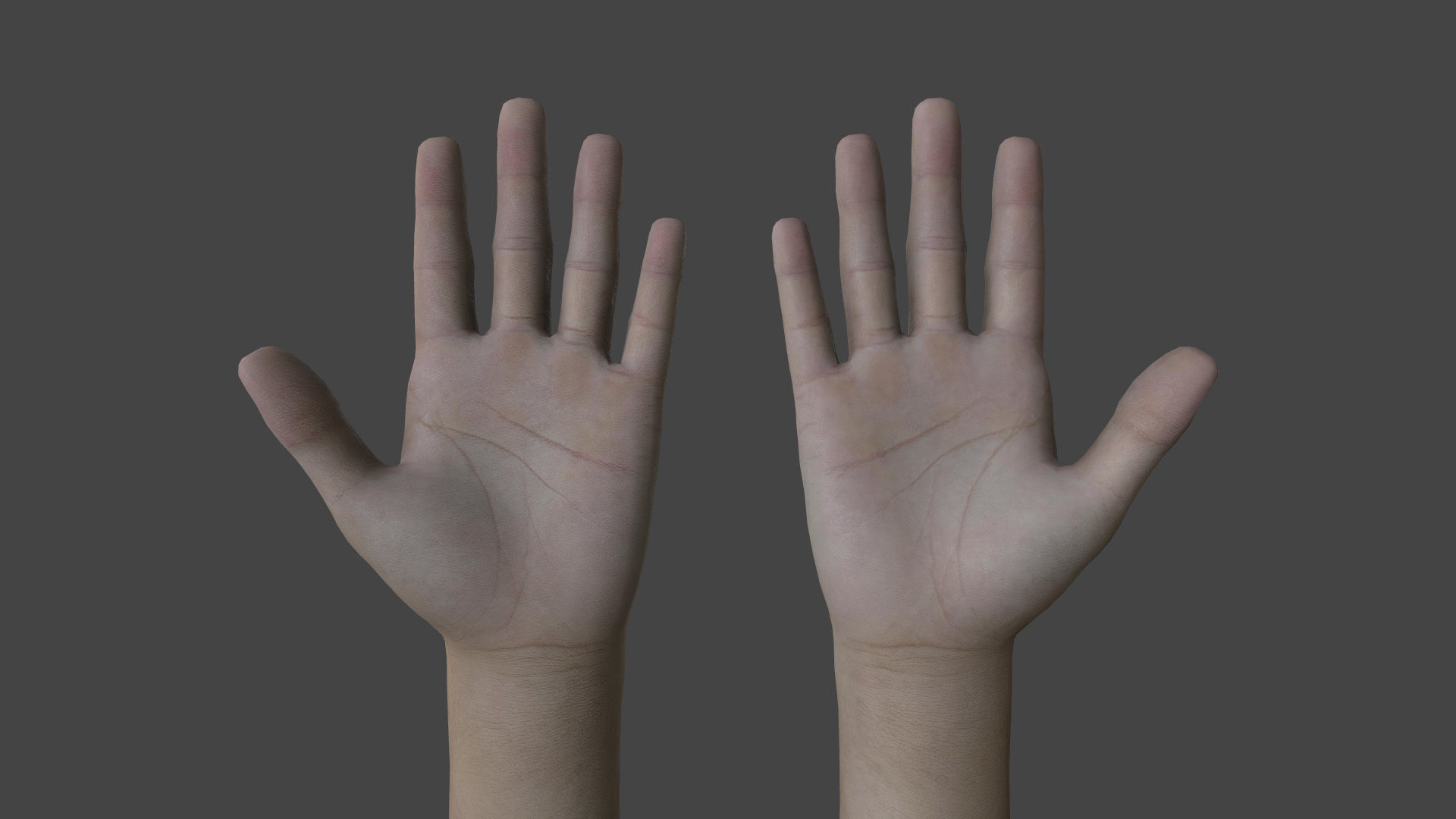 Hand Models Shape 3D model HAND-037 Rigged Hands VR / AR / low-poly | CGTrader