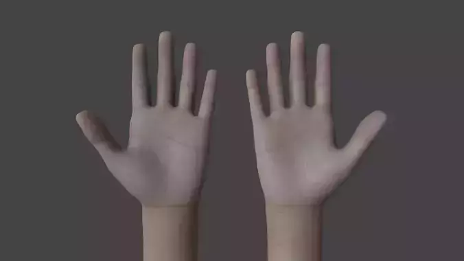 HAND-037 Rigged Hands