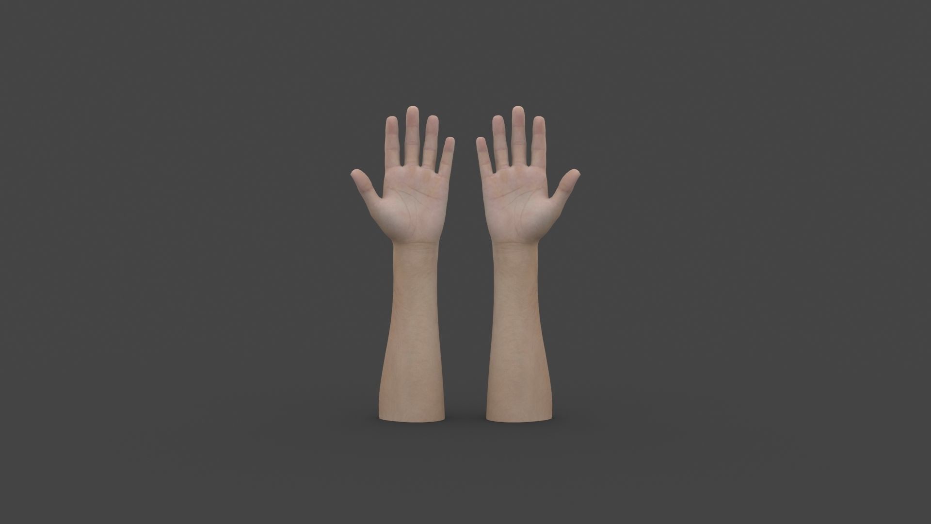 3D model HAND-037 Rigged Hands VR / AR / low-poly | CGTrader