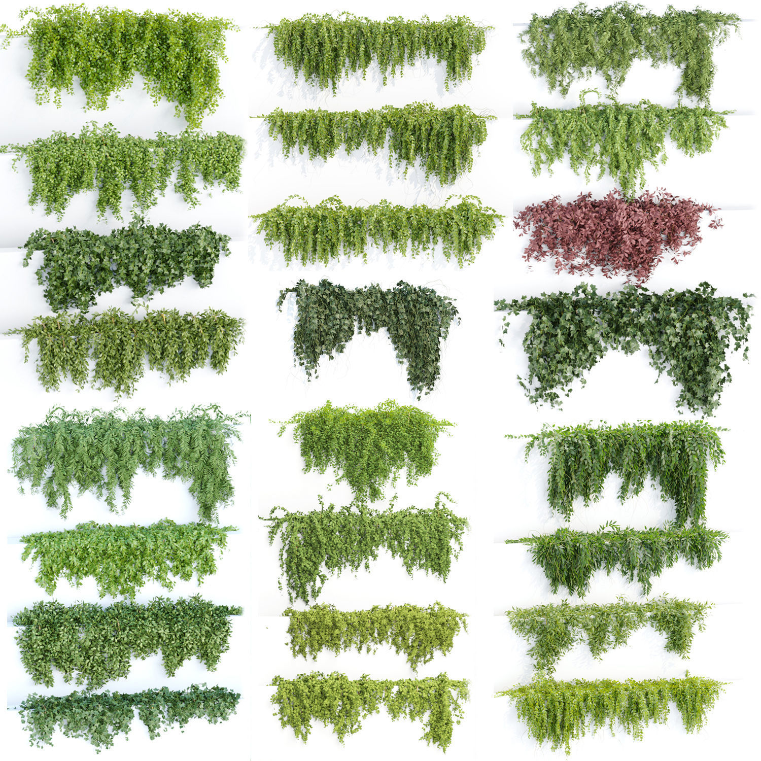 Collection of hanging plants vol 1 3D model_0