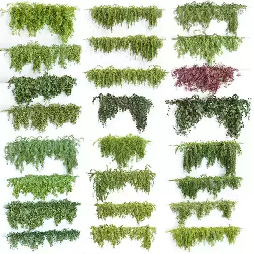 Collection of hanging plants vol 1 3D model