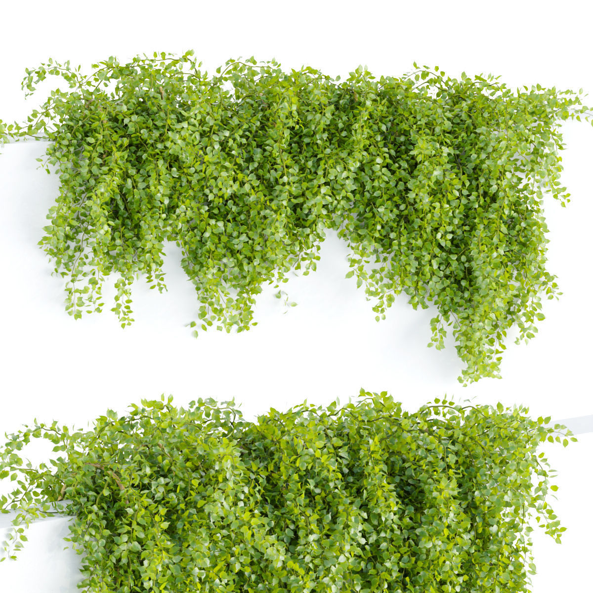 Collection of hanging plants vol 1 3D model_23
