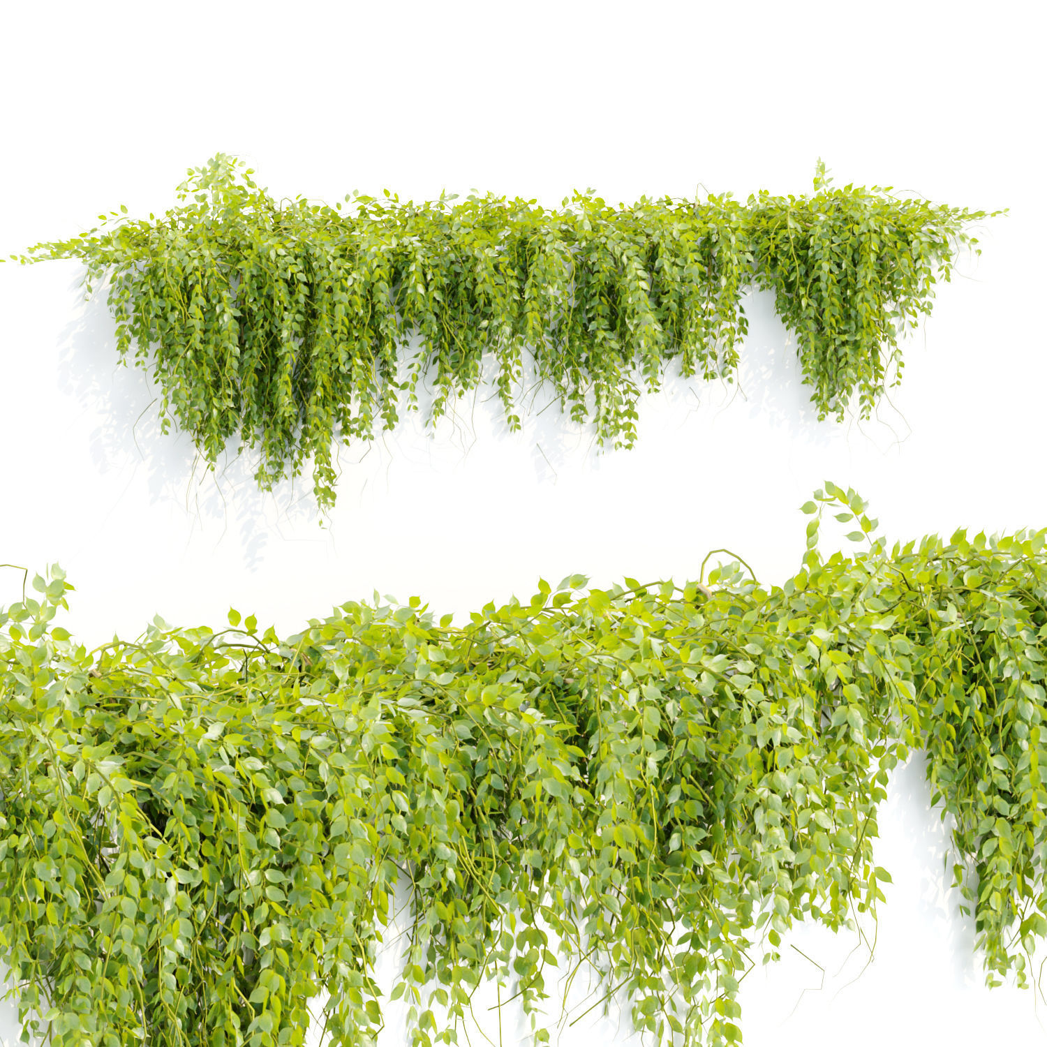 Collection of hanging plants vol 1 3D model_8