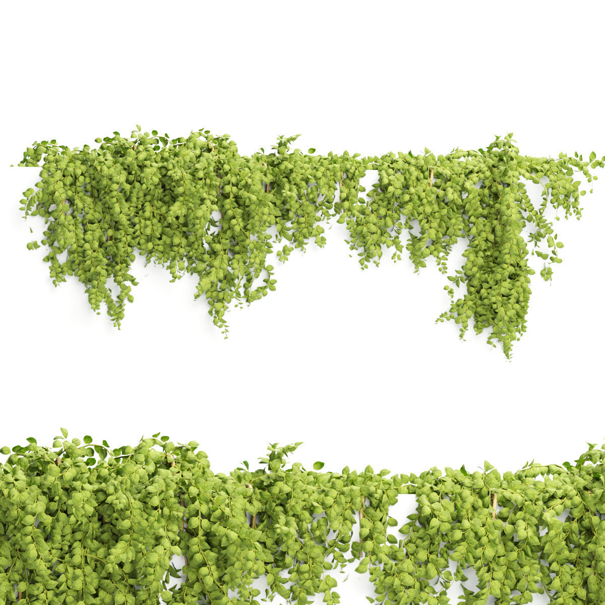 Collection of hanging plants vol 1 3D model_28