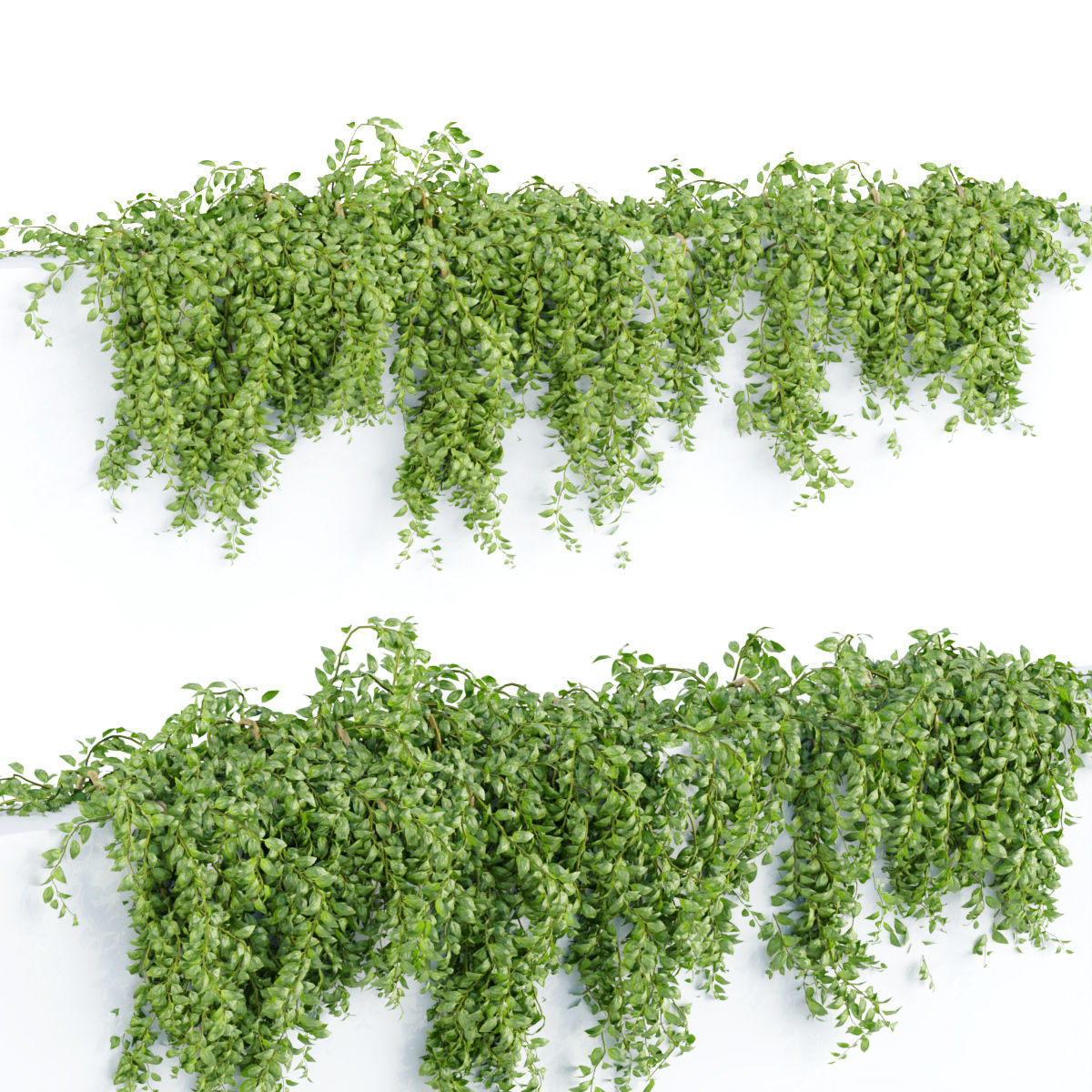 Collection of hanging plants vol 1 3D model_26