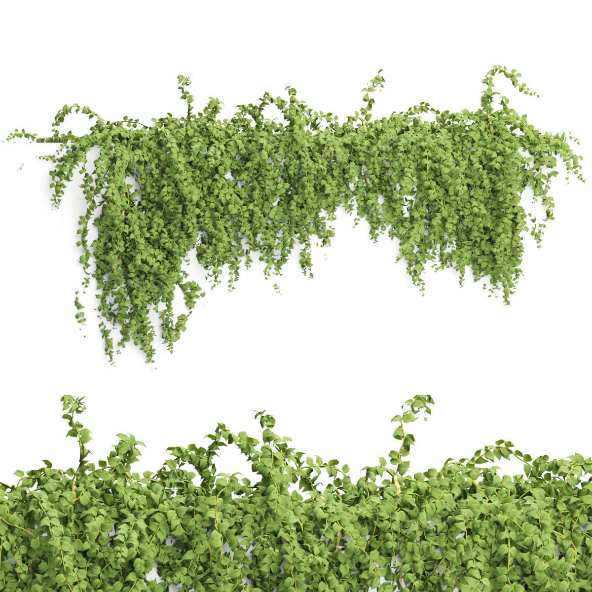 Collection of hanging plants vol 1 3D model_30