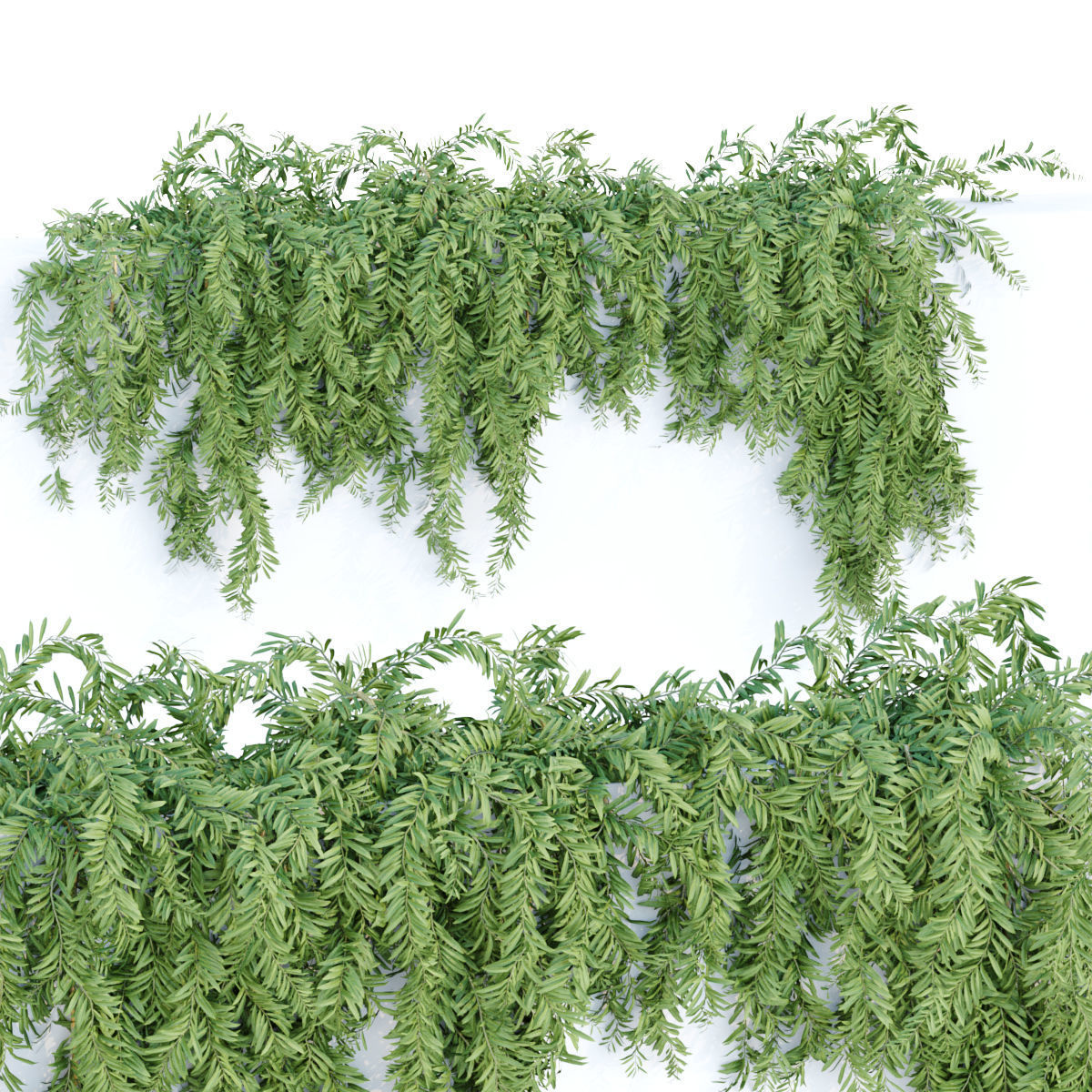 Collection of hanging plants vol 1 3D model_13