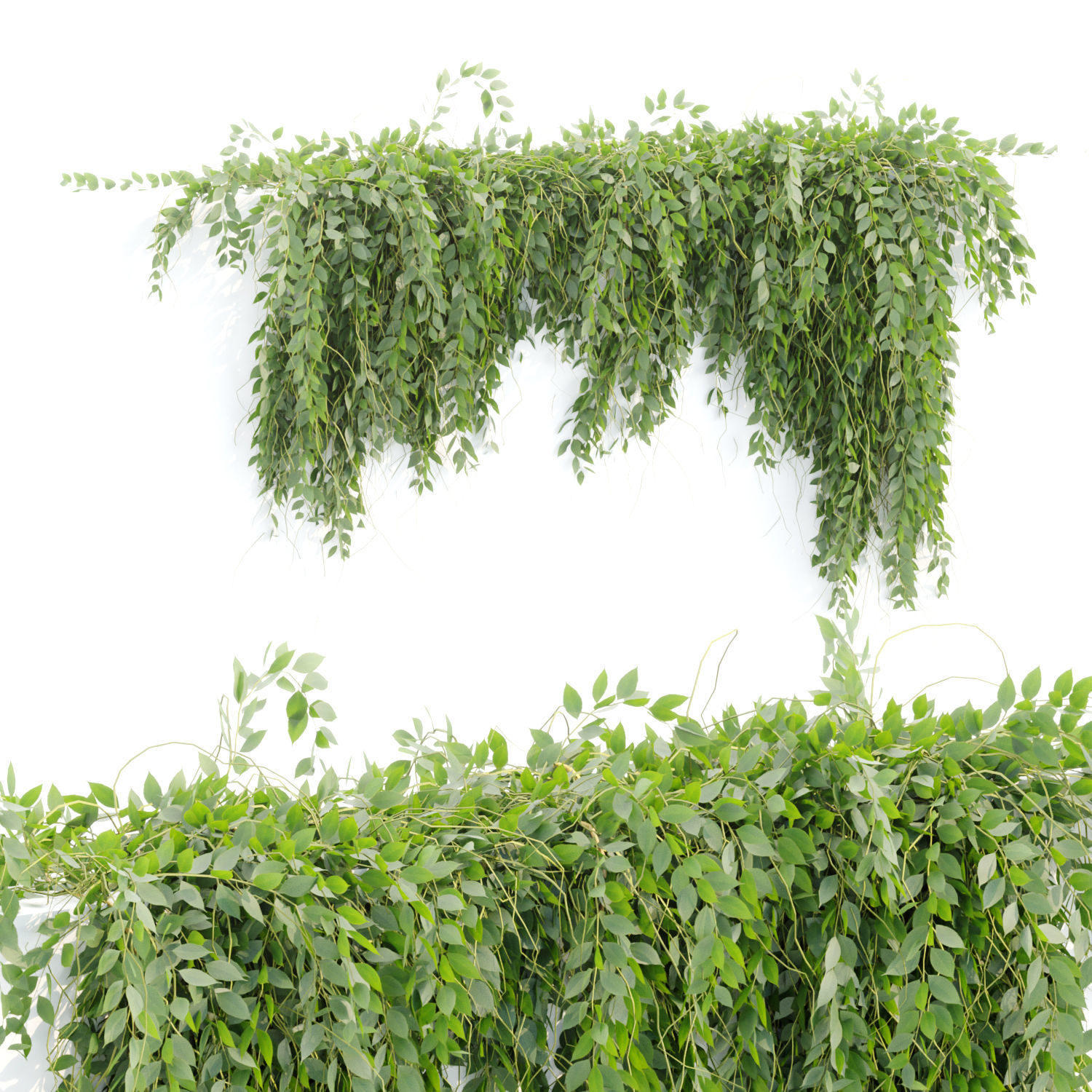 Collection of hanging plants vol 1 3D model_5