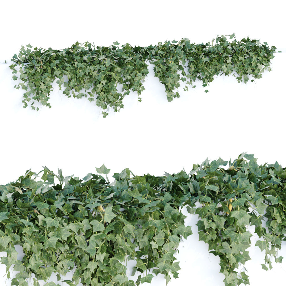 Collection of hanging plants vol 1 3D model_16