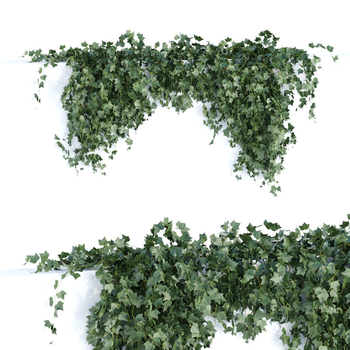 Collection of hanging plants vol 1 3D model_21