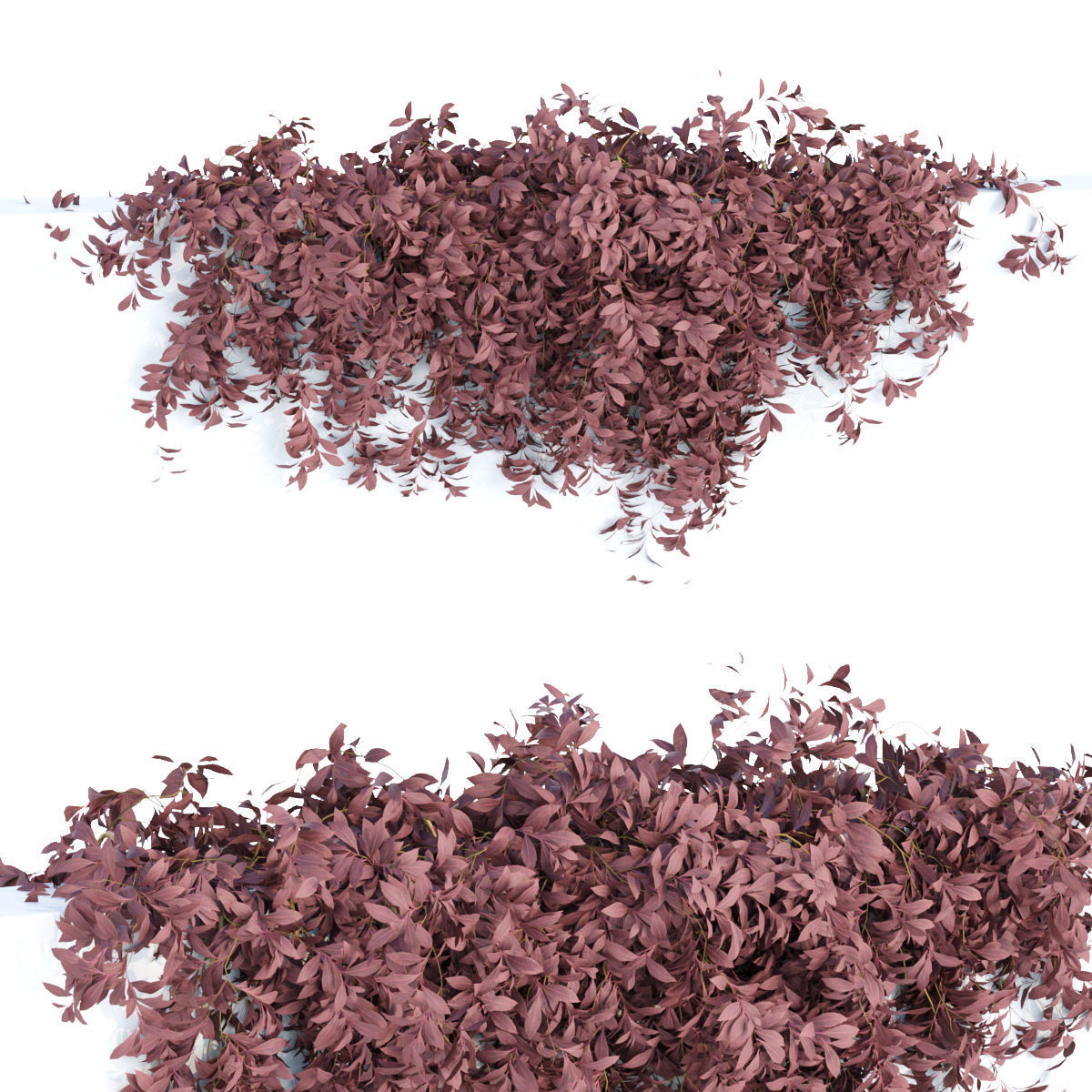 Collection of hanging plants vol 1 3D model_20