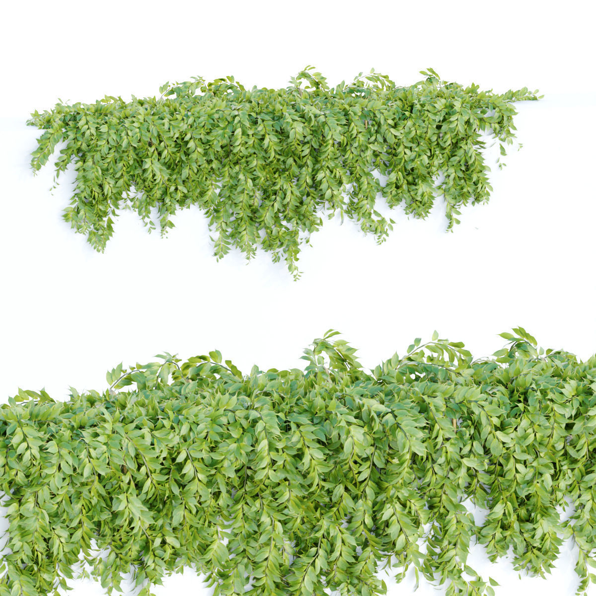 Collection of hanging plants vol 1 3D model_14