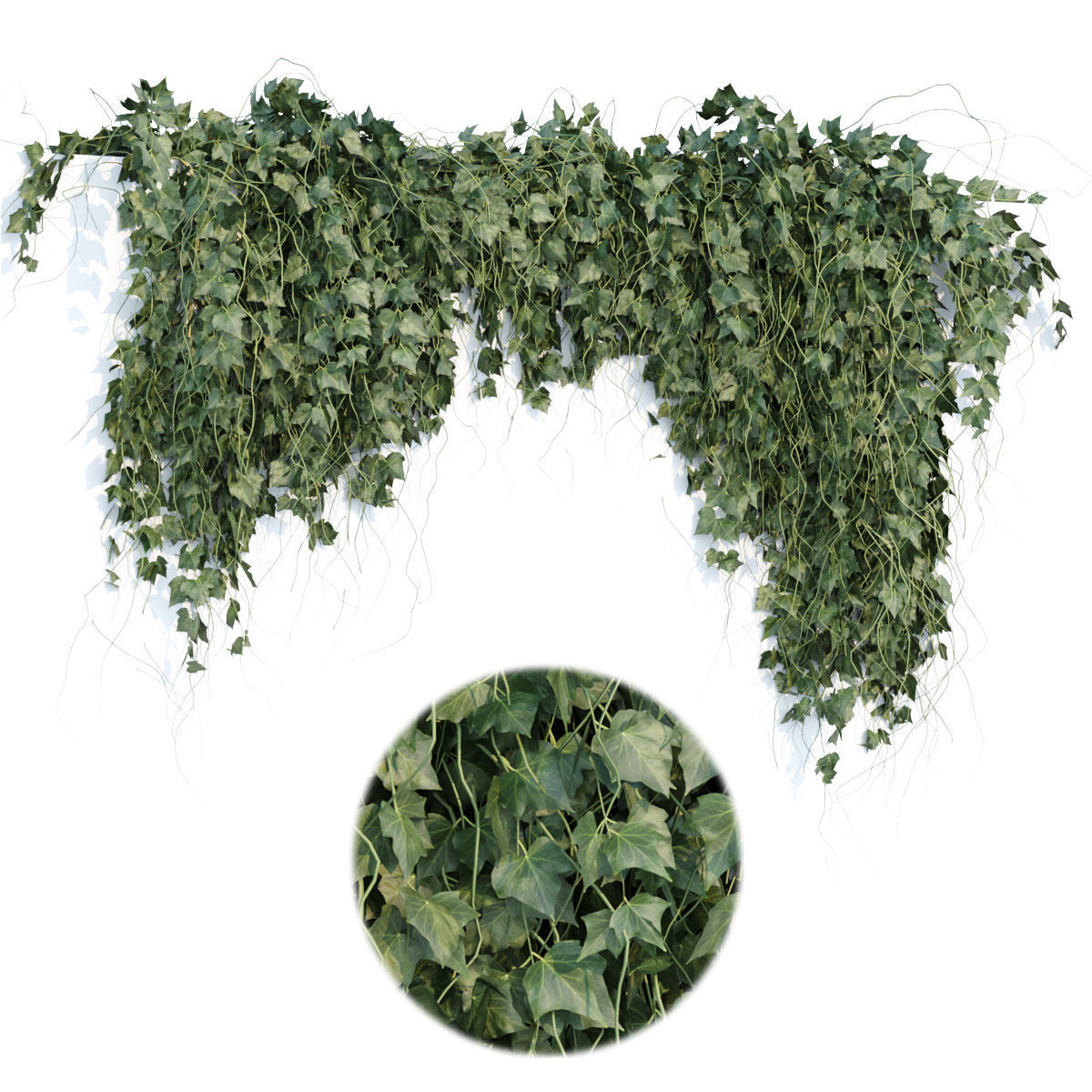 Collection of hanging plants vol 1 3D model_10