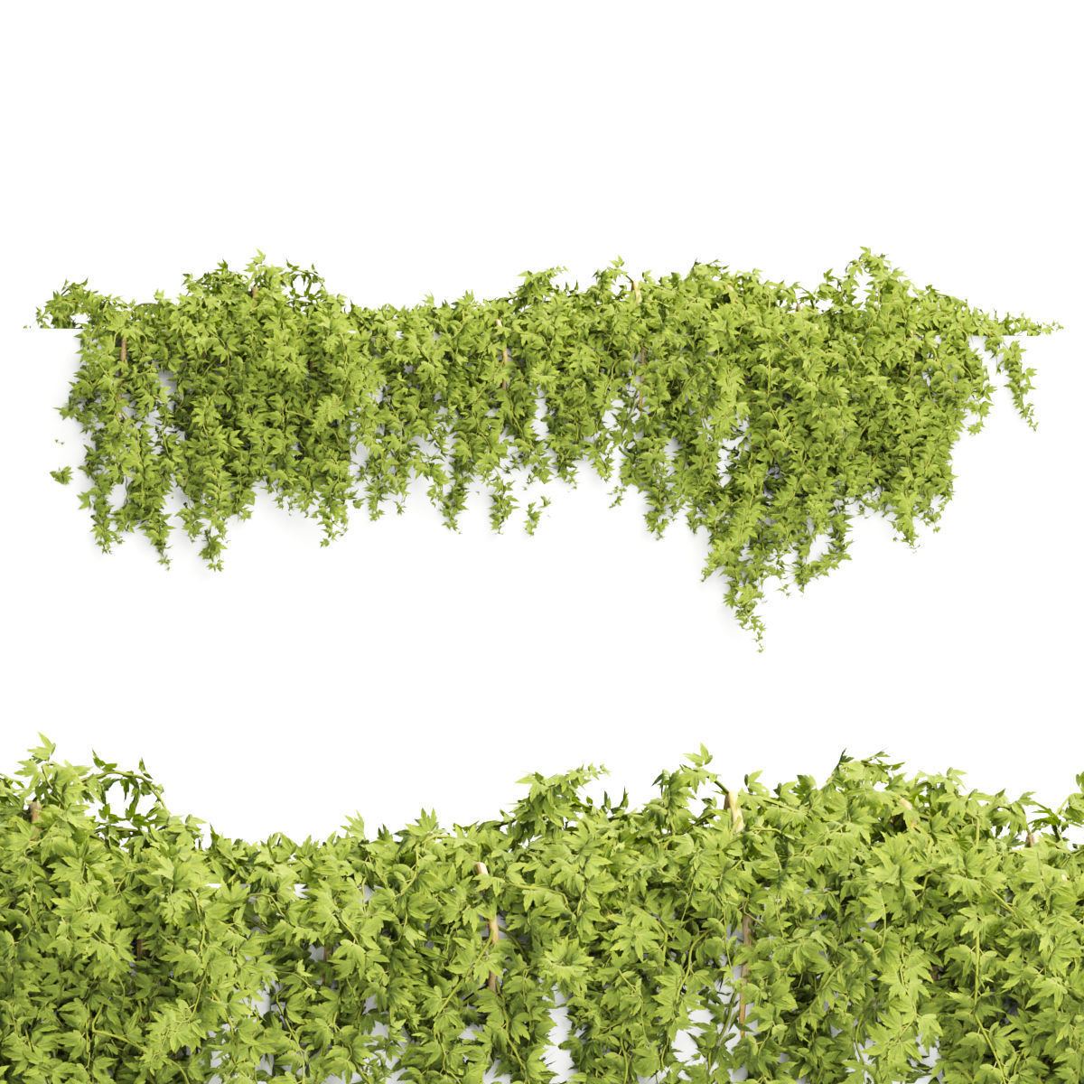 Collection of hanging plants vol 1 3D model_29