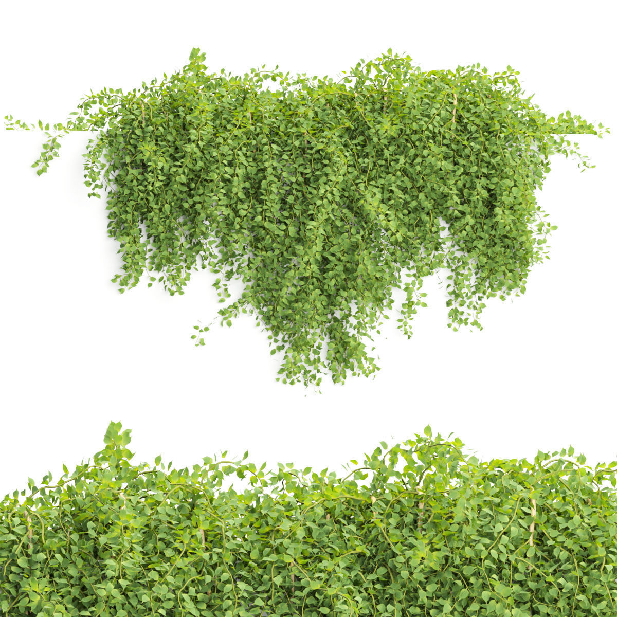 Collection of hanging plants vol 1 3D model_31