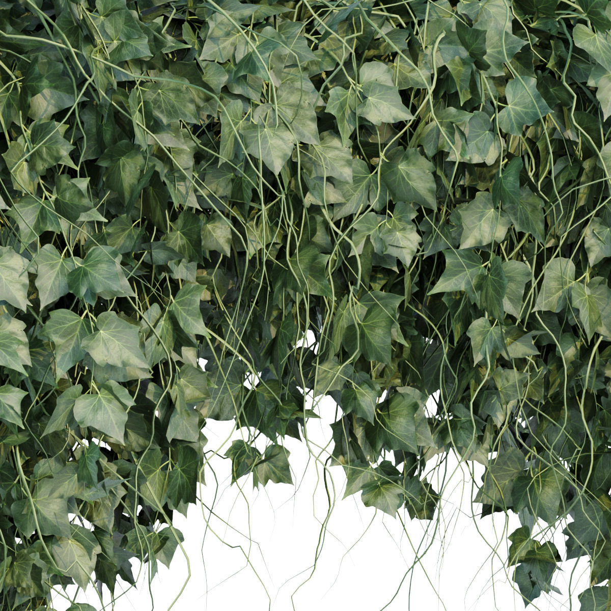 Collection of hanging plants vol 1 3D model_11