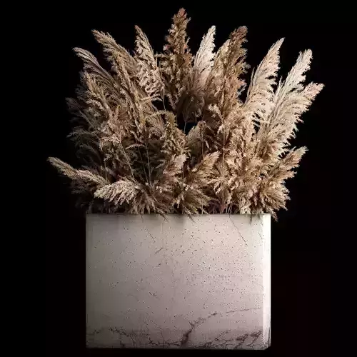 Deorative Bouquet In A Concrete Vase Of Dry Reeds 268