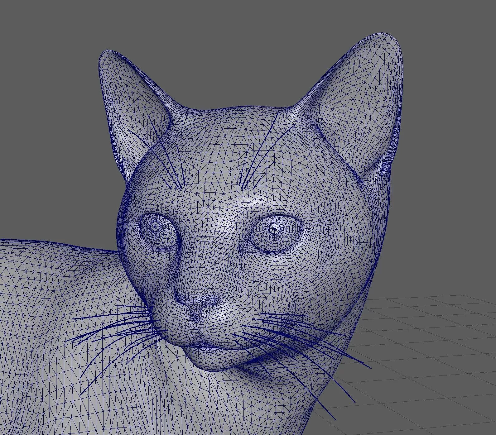 realistic cat 3D model