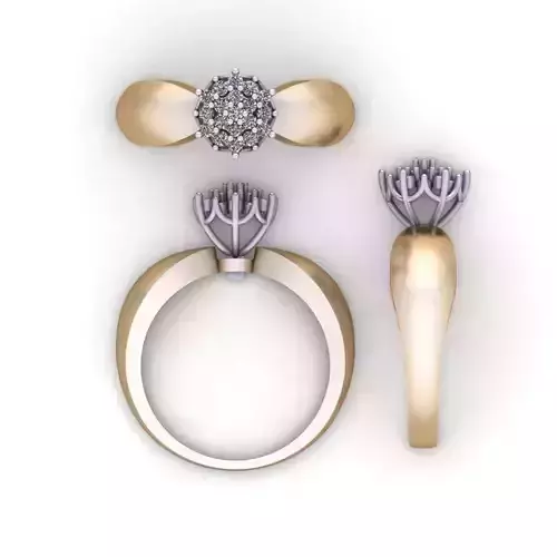 Two-piece ring ready to print