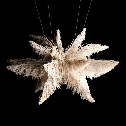 Hanging Bouquet Of Dry Reeds For Decoration 271 3D model