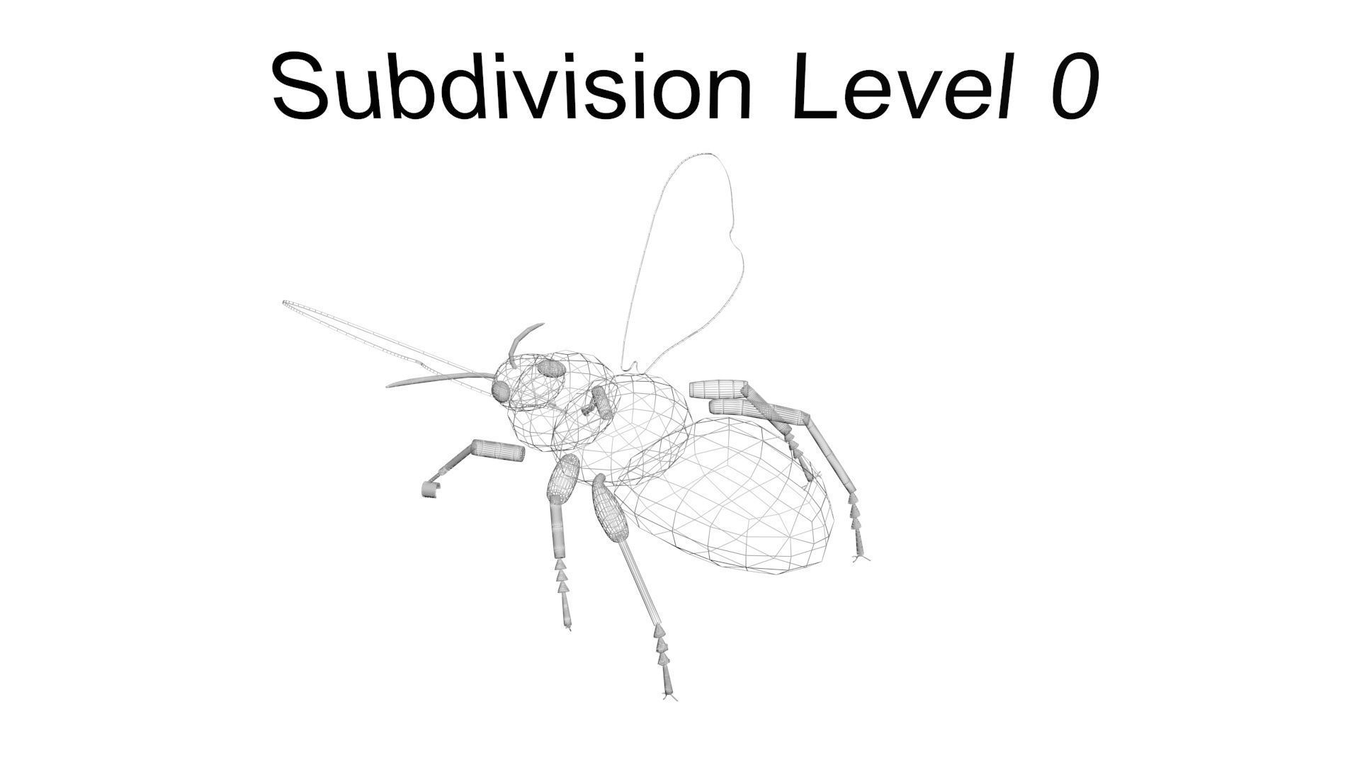 Insects Set 3D model_68