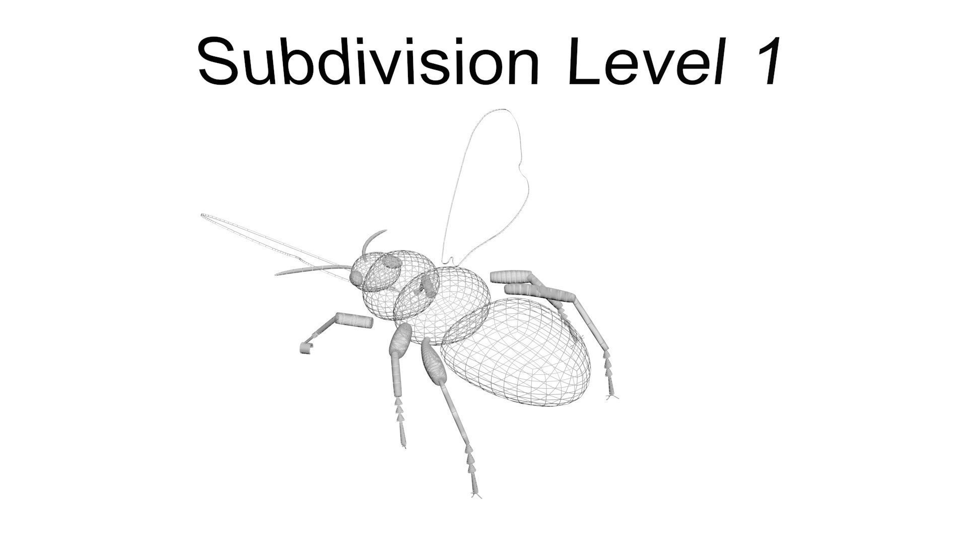 Insects Set 3D model_67