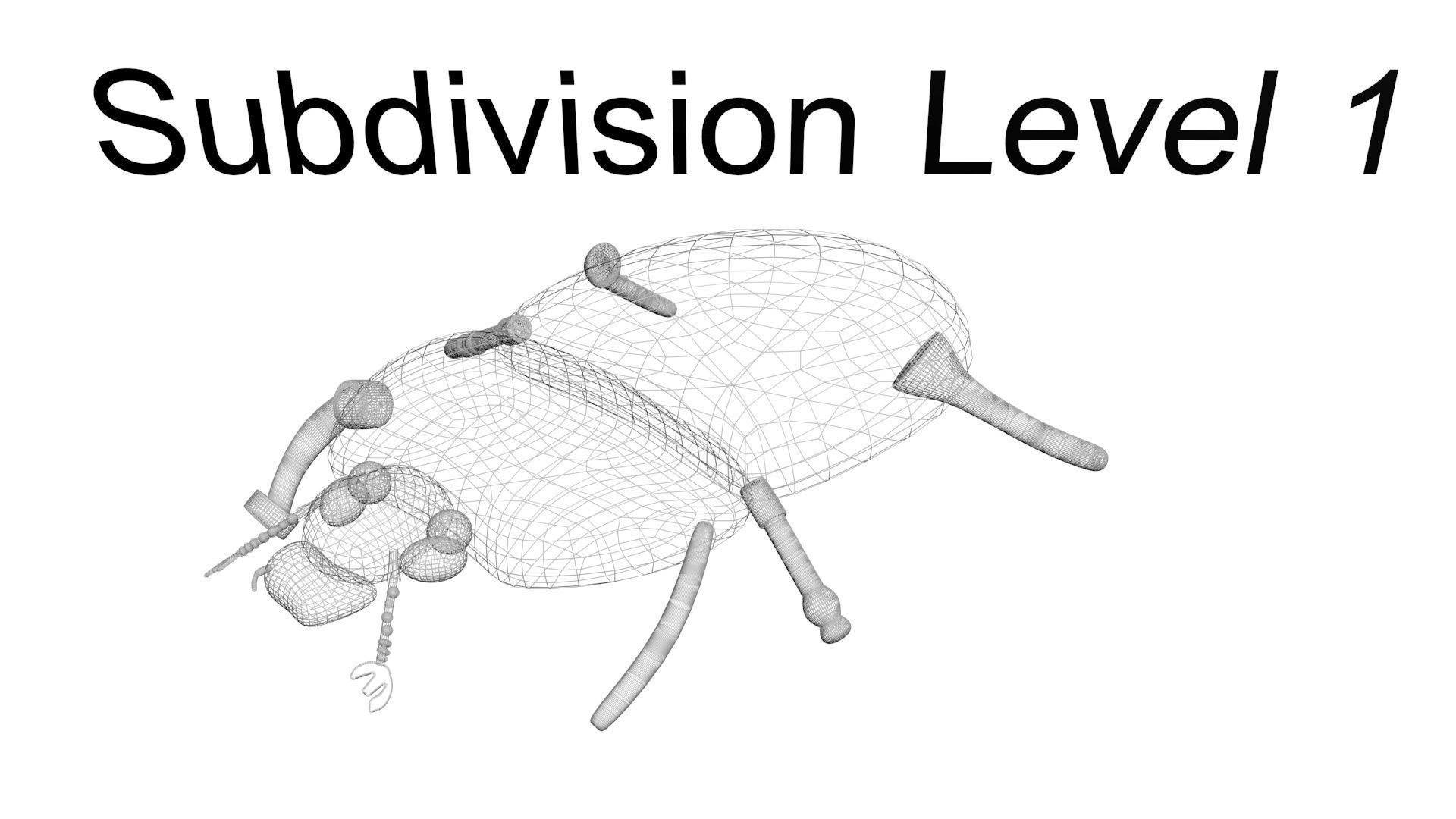 Insects Set 3D model_71