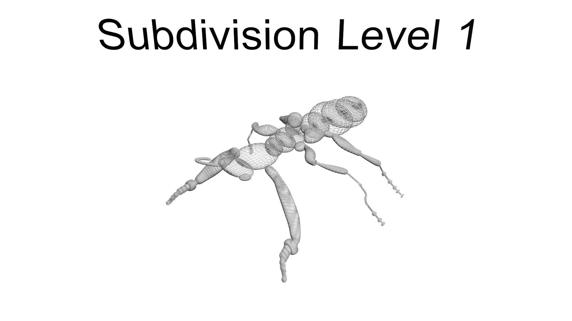 Insects Set 3D model_69