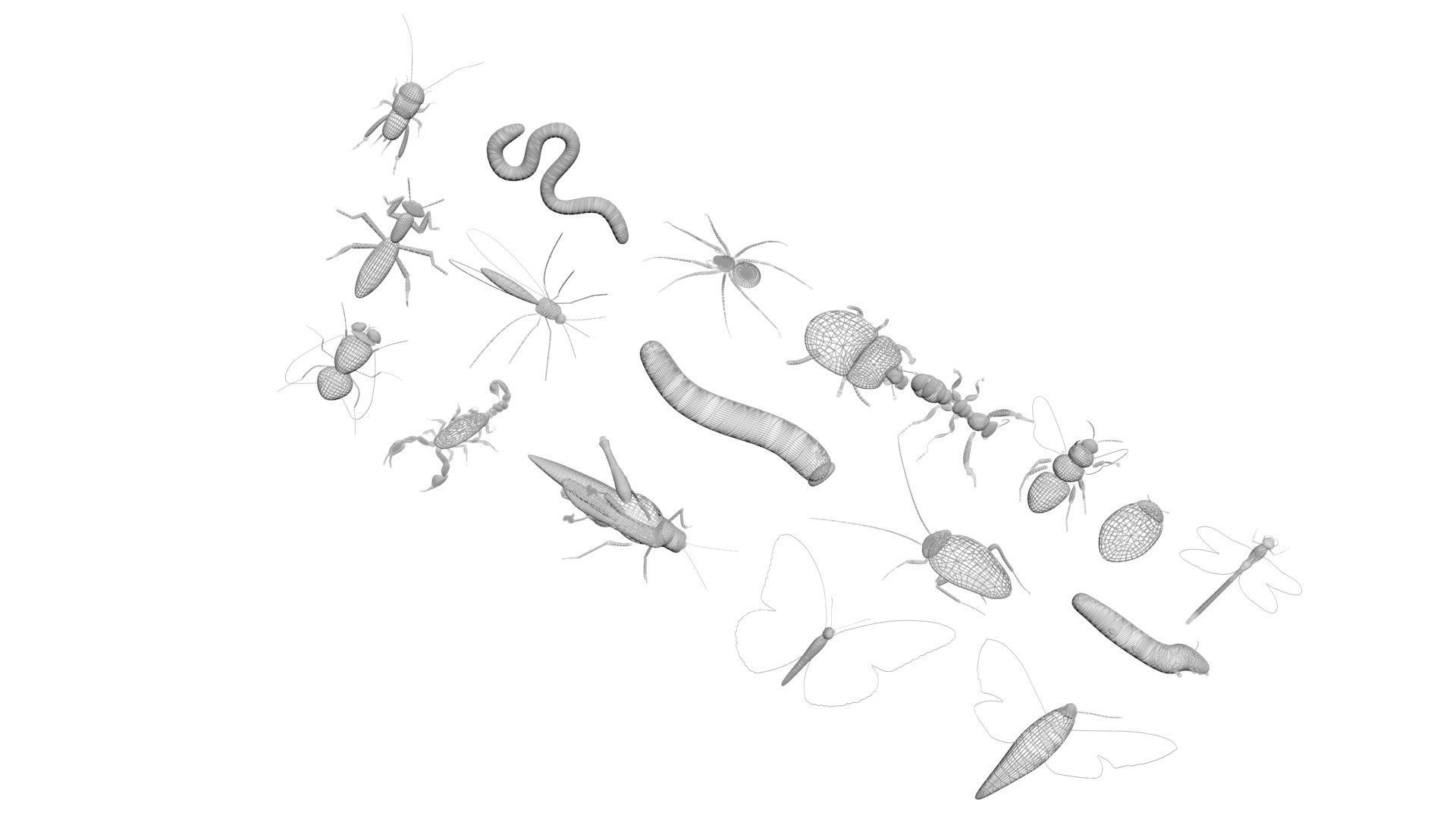 Insects Set 3D model_52