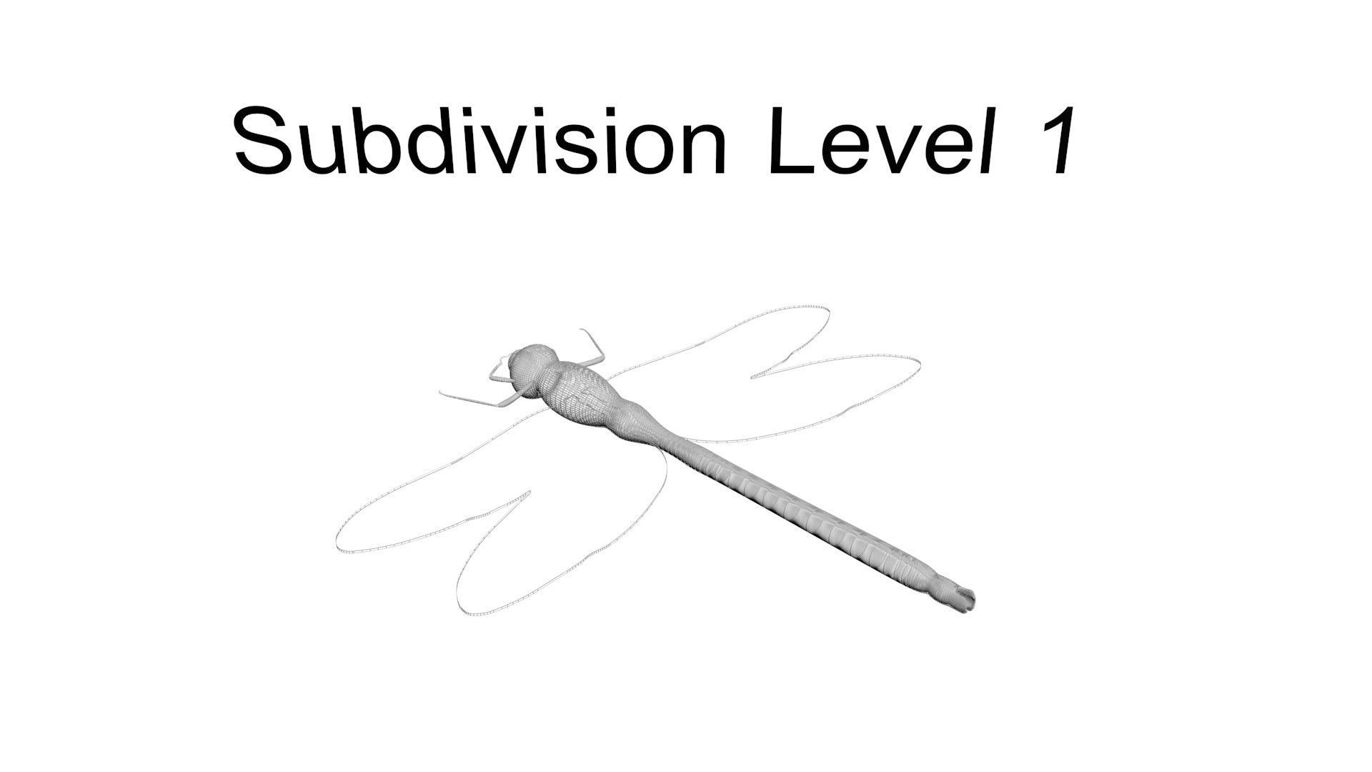 Insects Set 3D model_63