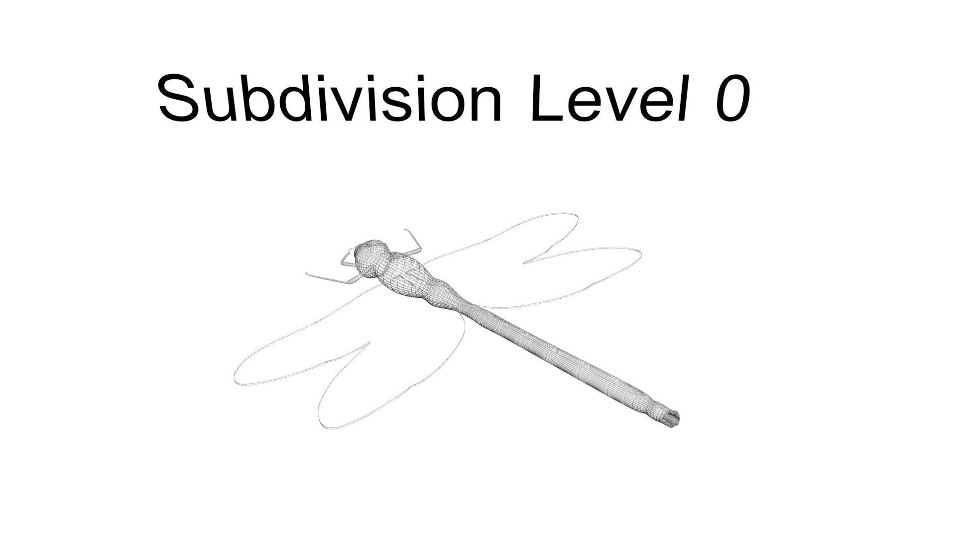 Insects Set 3D model_64