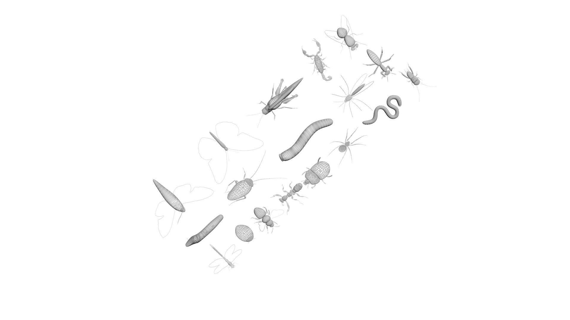 Insects Set 3D model_51