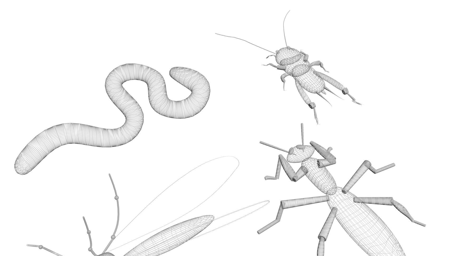 Insects Set 3D model_58