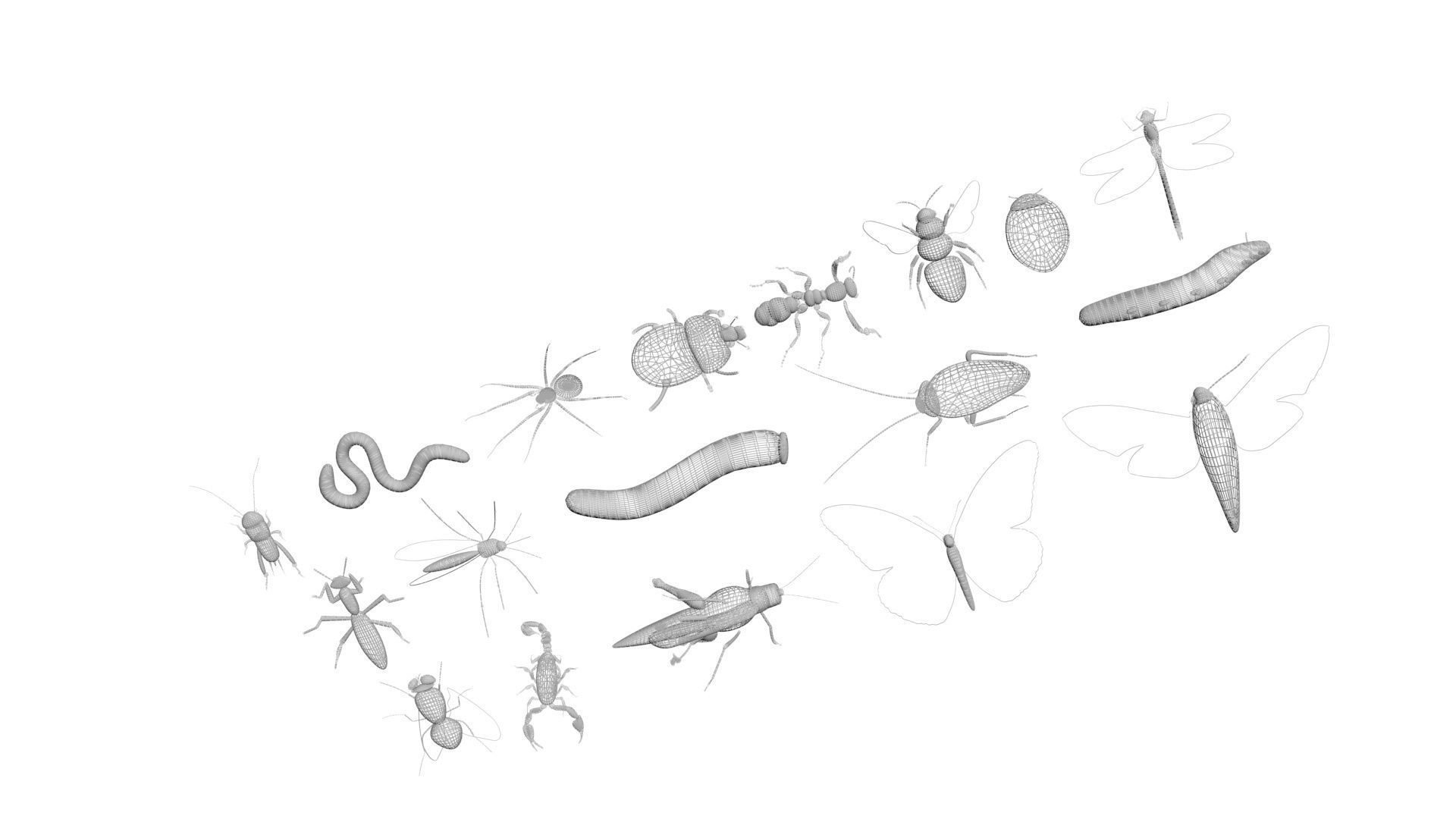 Insects Set 3D model_53