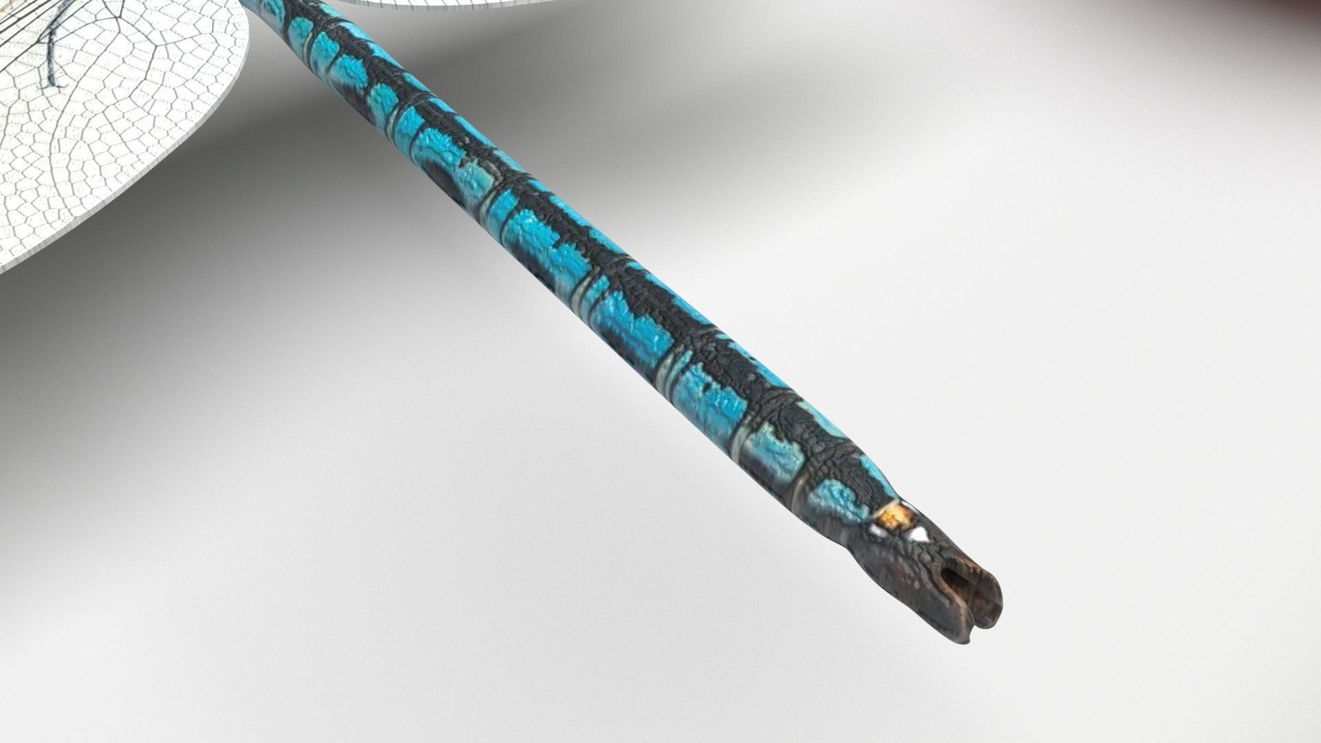 Insects Set 3D model_10