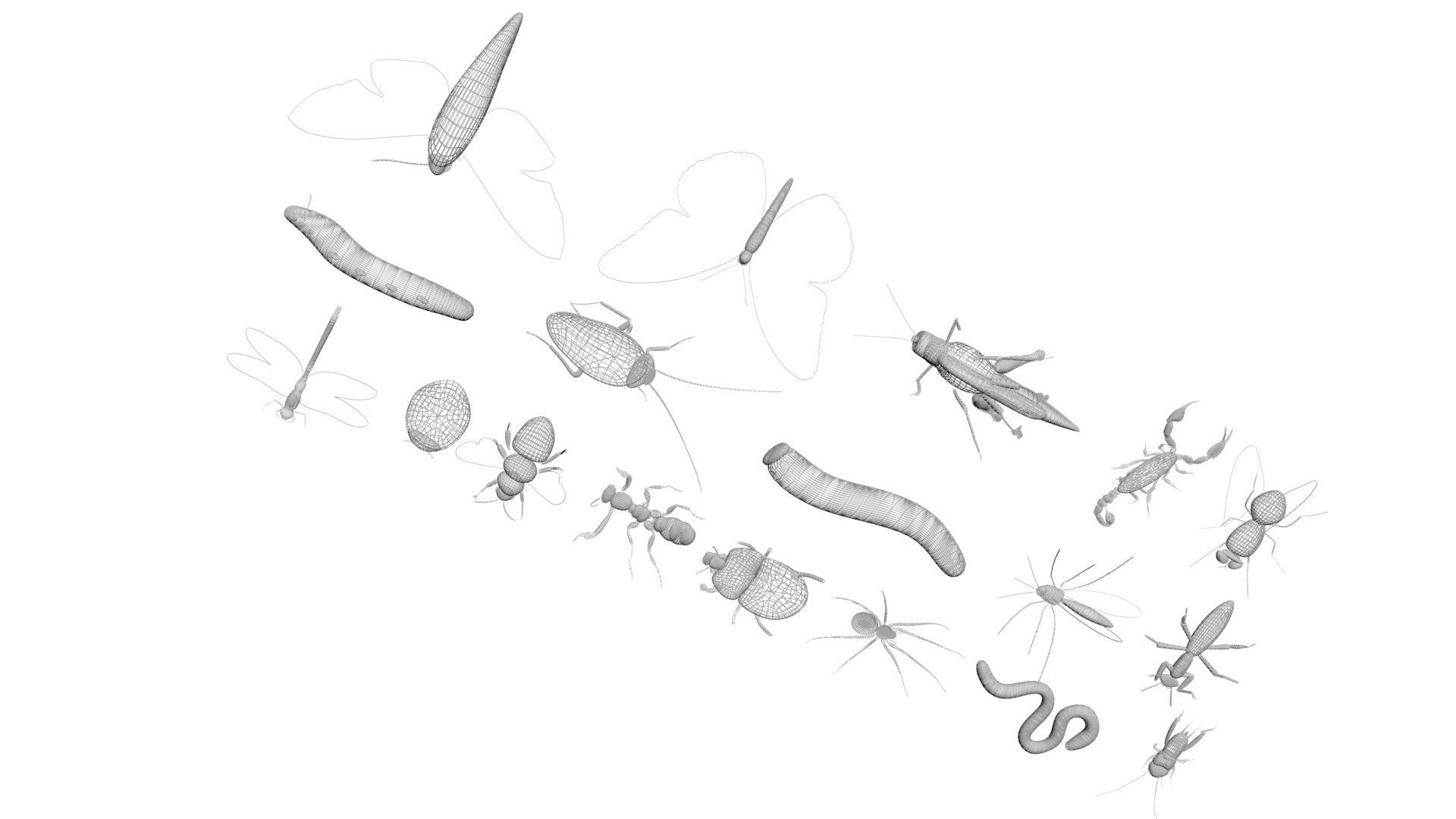 Insects Set 3D model_54