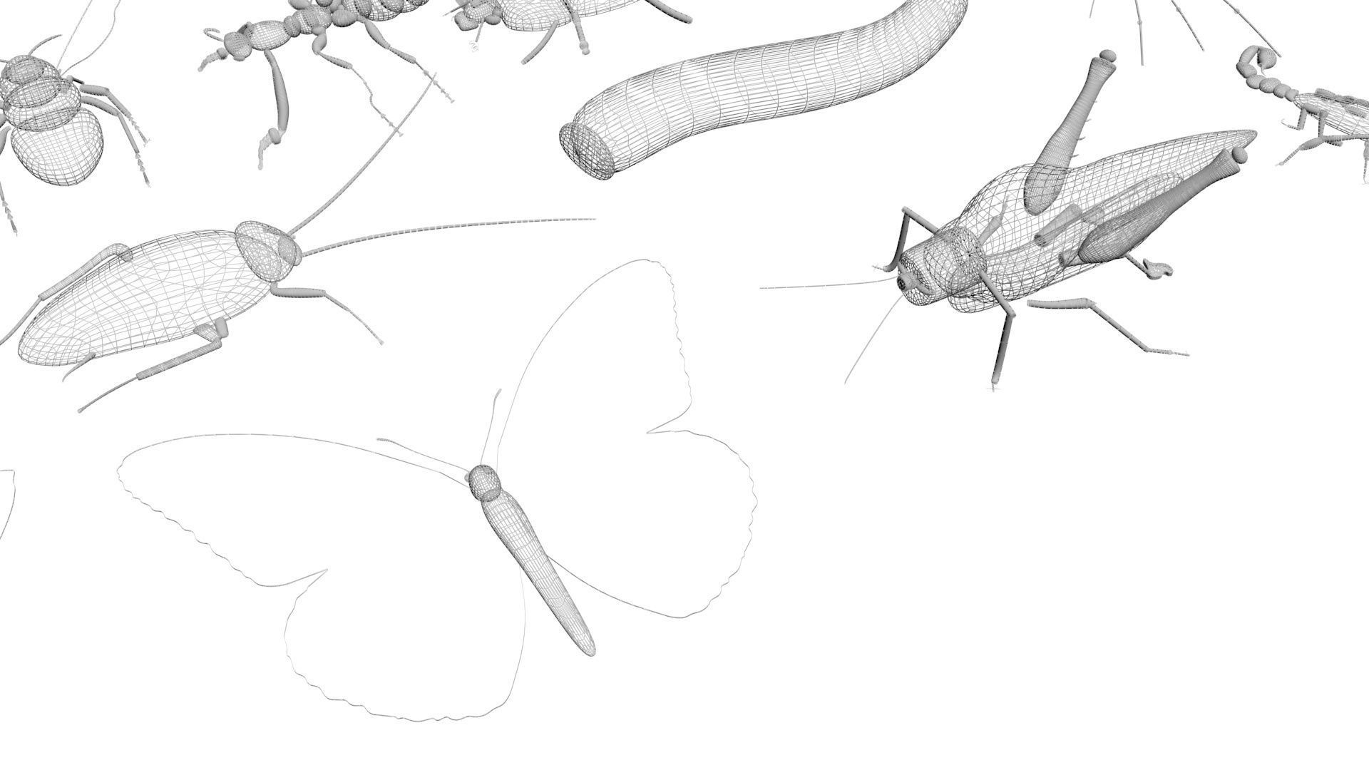Insects Set 3D model_60