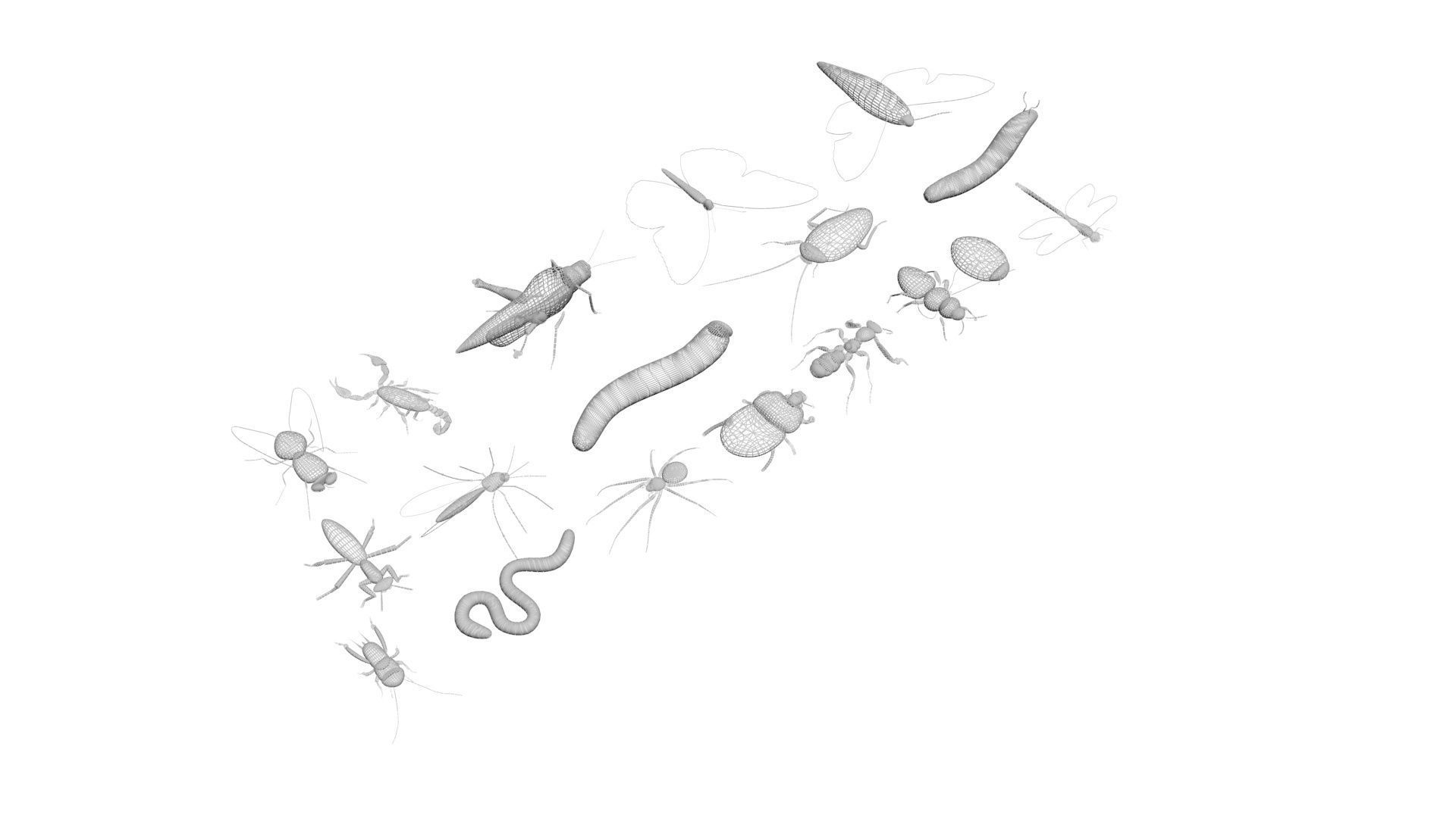 Insects Set 3D model_48