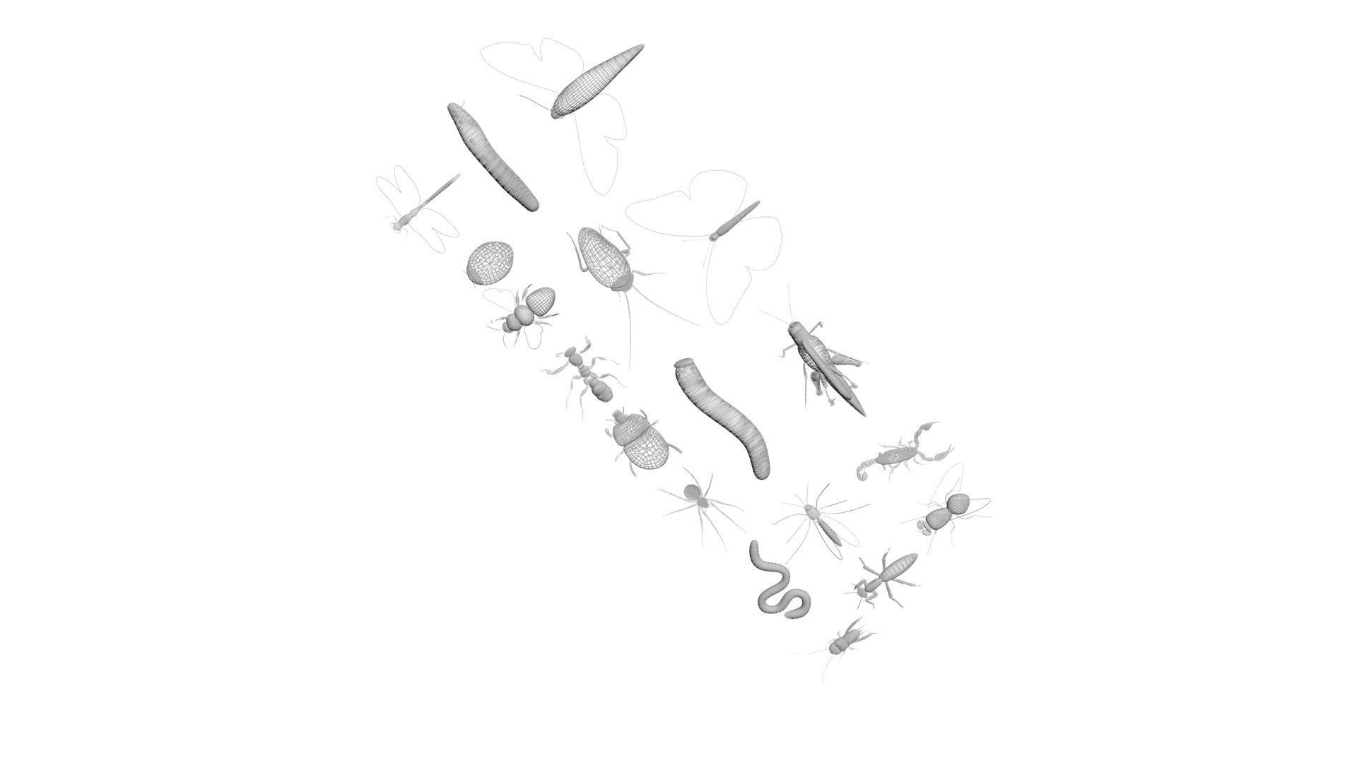 Insects Set 3D model_50