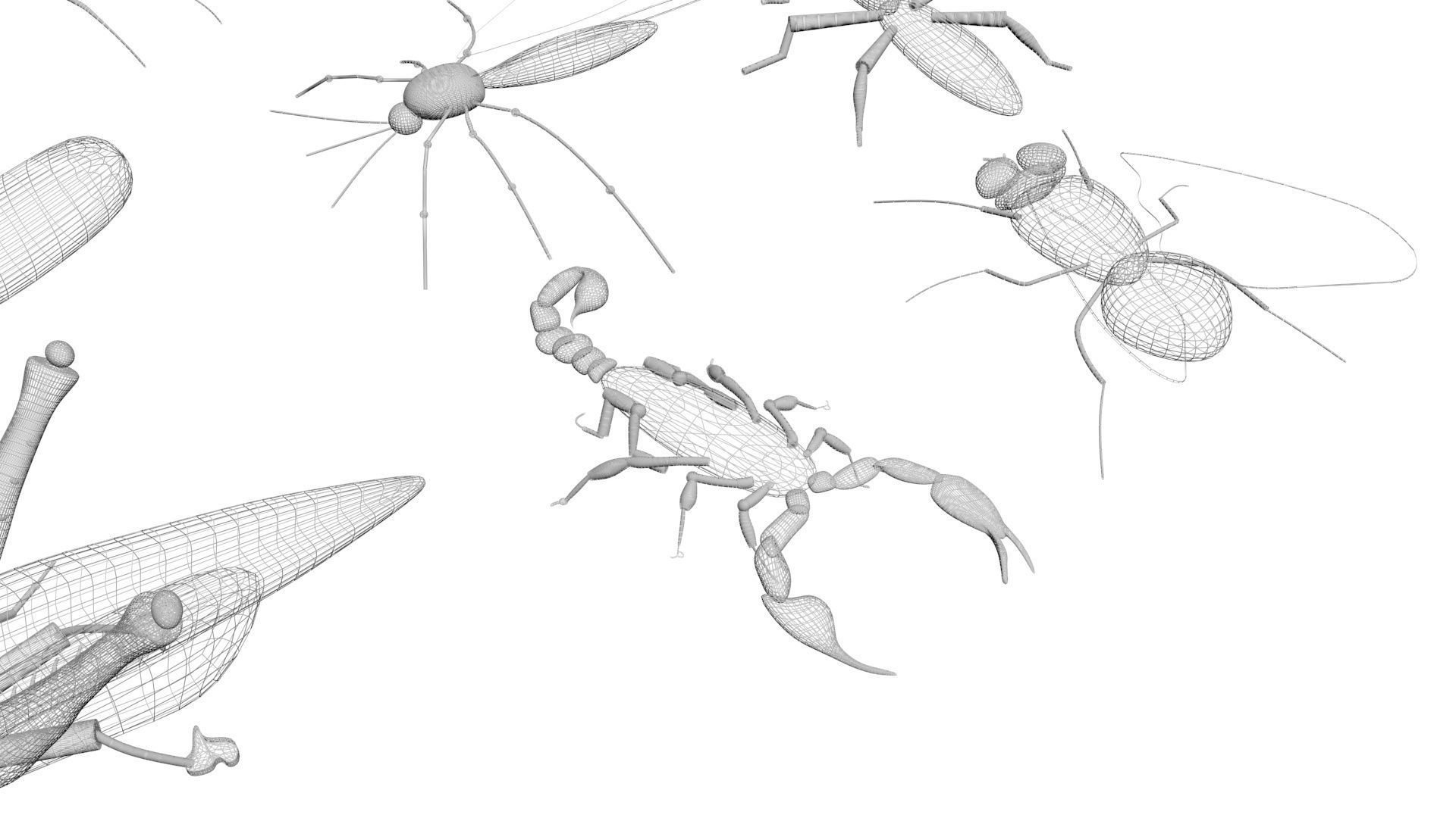 Insects Set 3D model_59