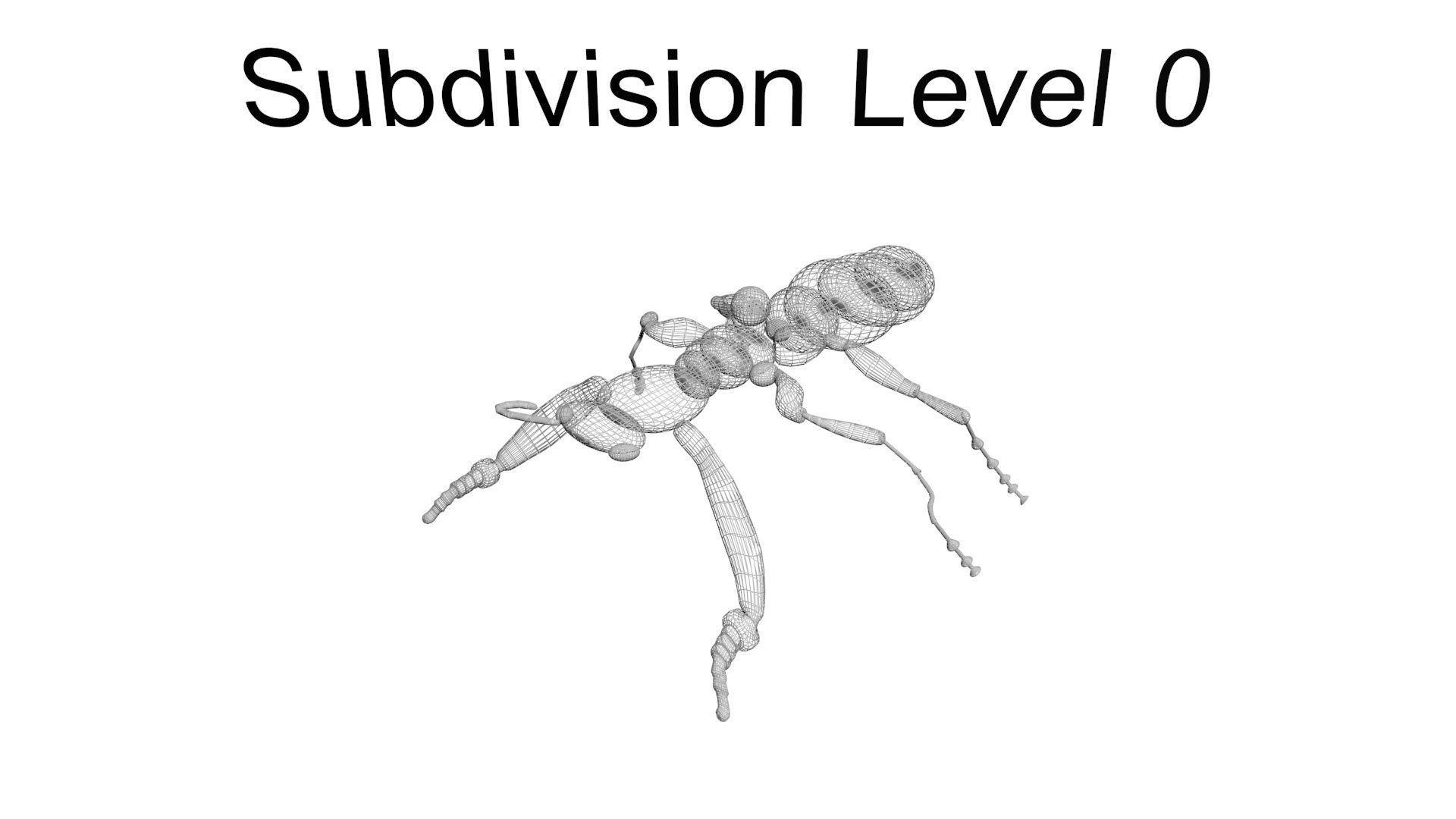 Insects Set 3D model_70