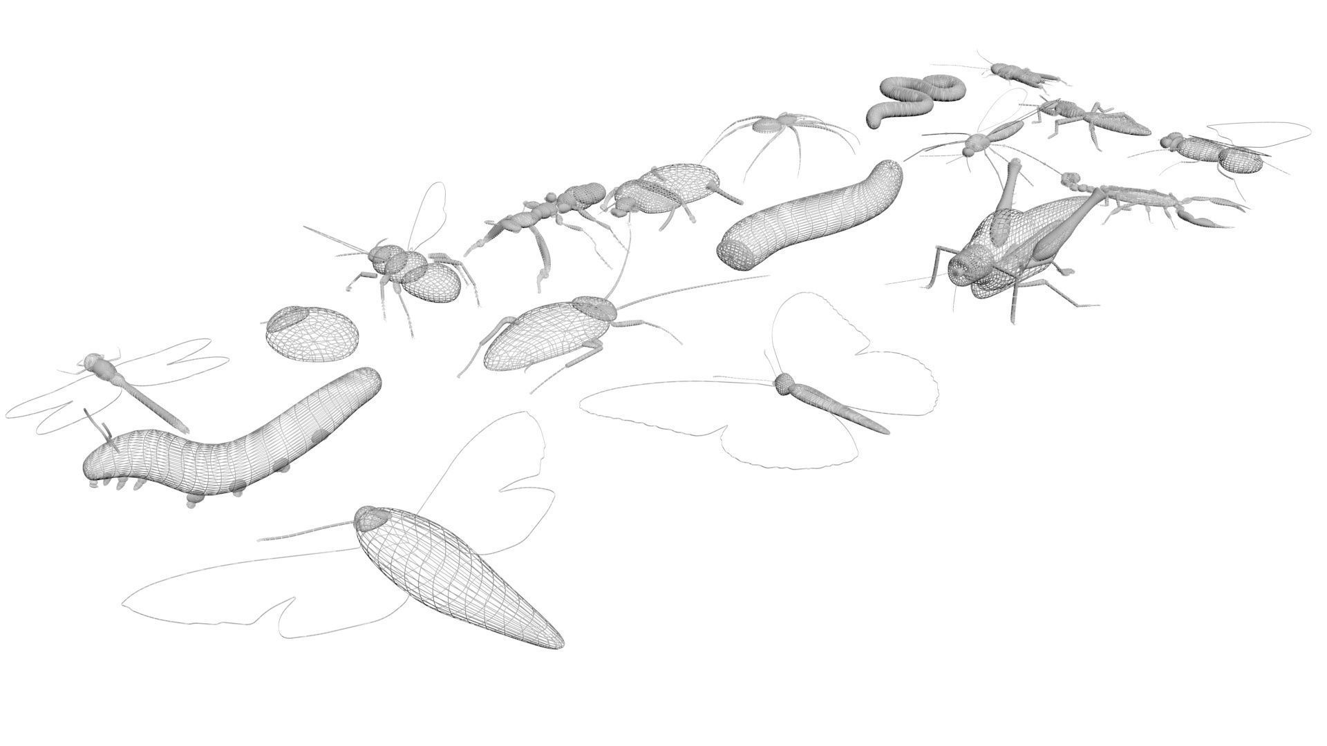 Insects Set 3D model_46