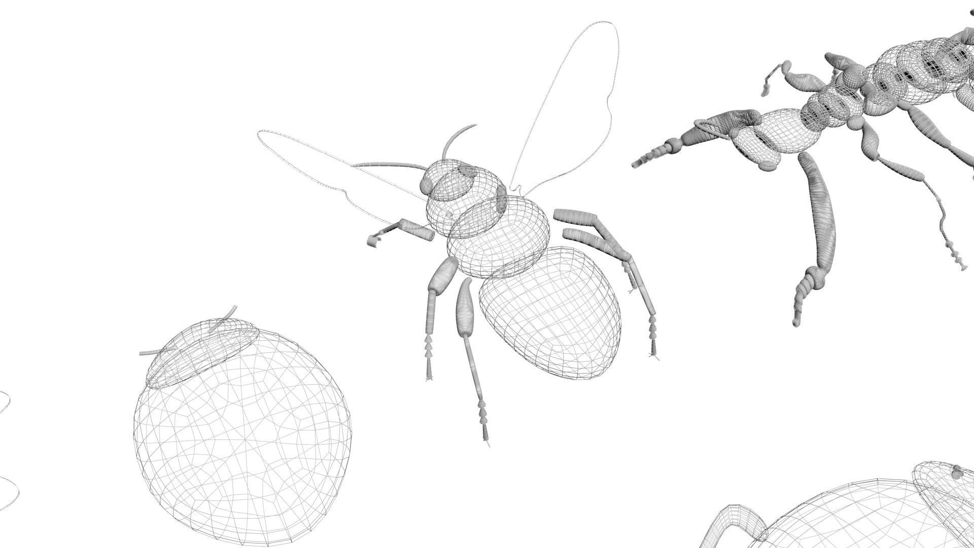 Insects Set 3D model_56