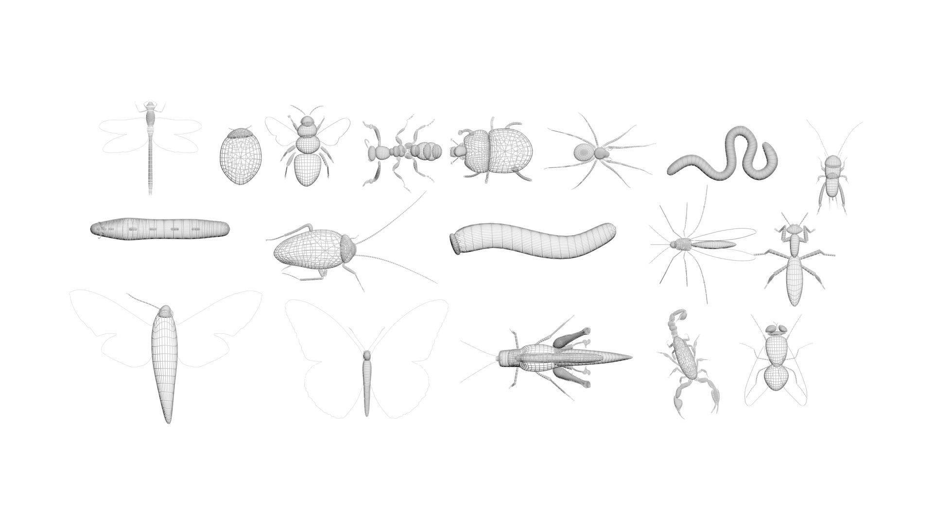 Insects Set 3D model_62