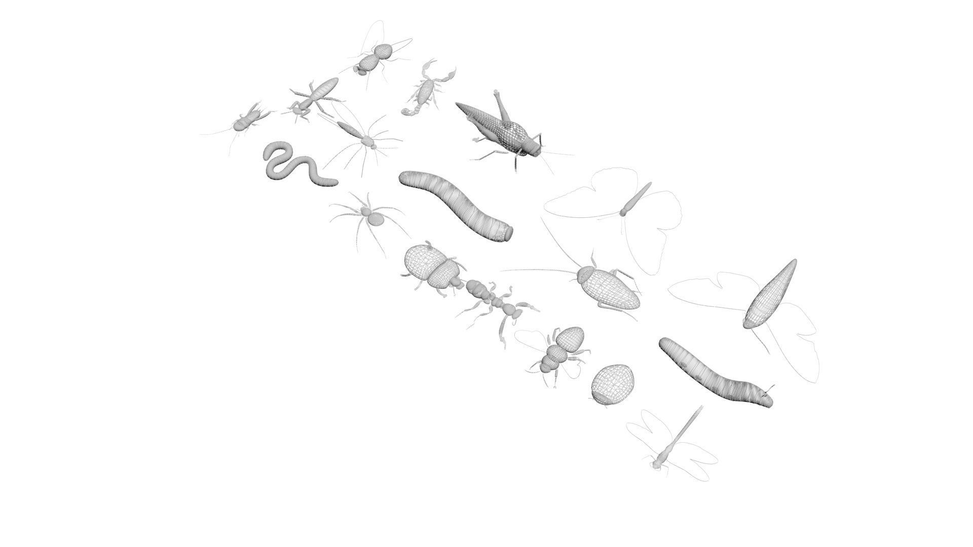 Insects Set 3D model_49