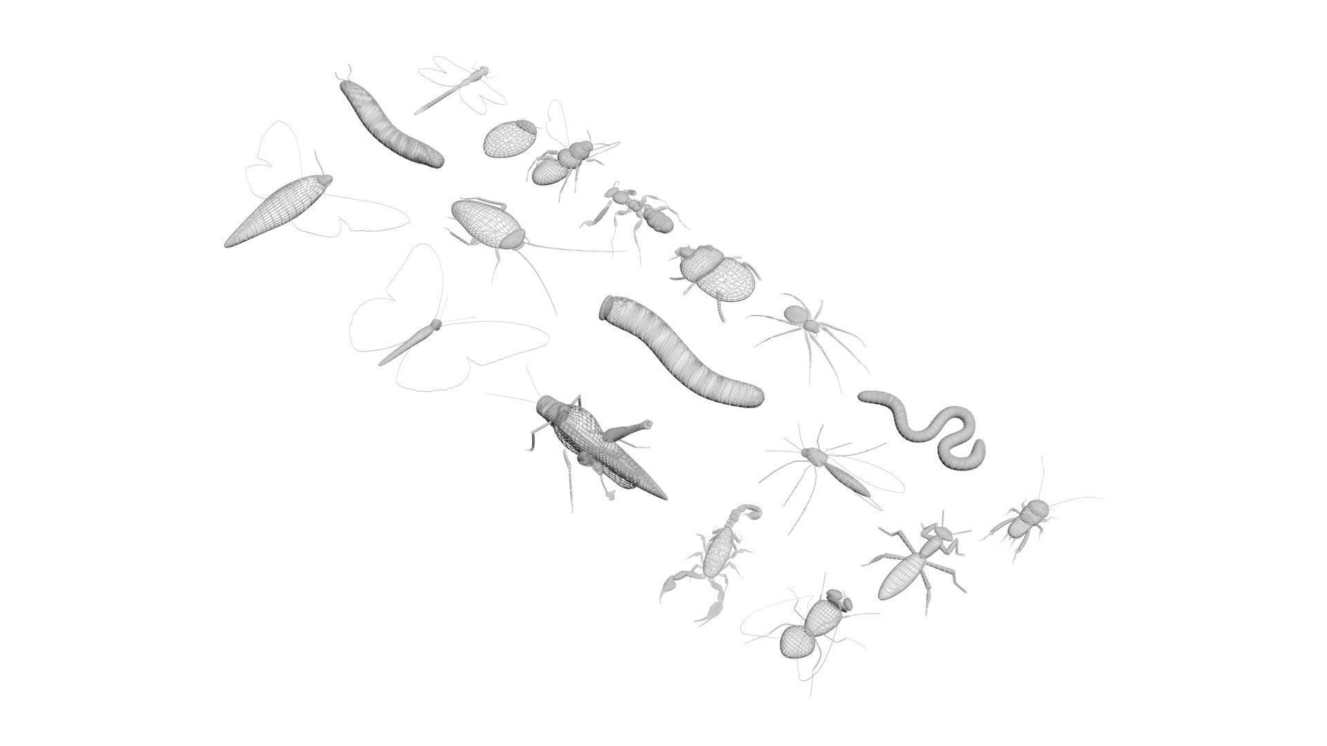 Insects Set 3D model_47