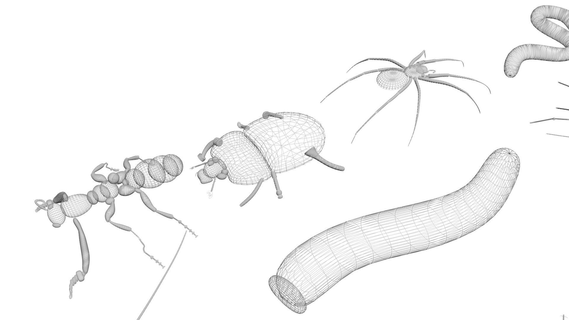 Insects Set 3D model_57