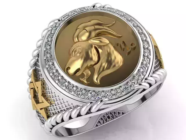 Capricorn ring zodiac